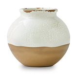 Vercott Vases