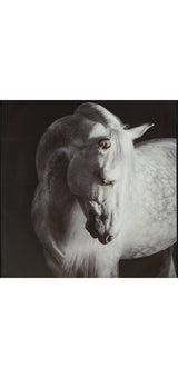 Archerwick Wall Art