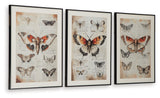 Jossletts Wall Art Set