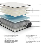 Limited Edition PlushMattress
