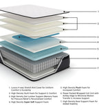 Limited Edition PTMattress