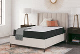 Limited Edition FirmMattress