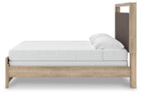 Hollymount Upholstered Panel Bed