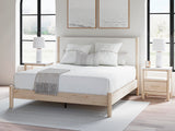 Cadmori Beds