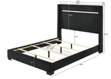 Gennro Bed
