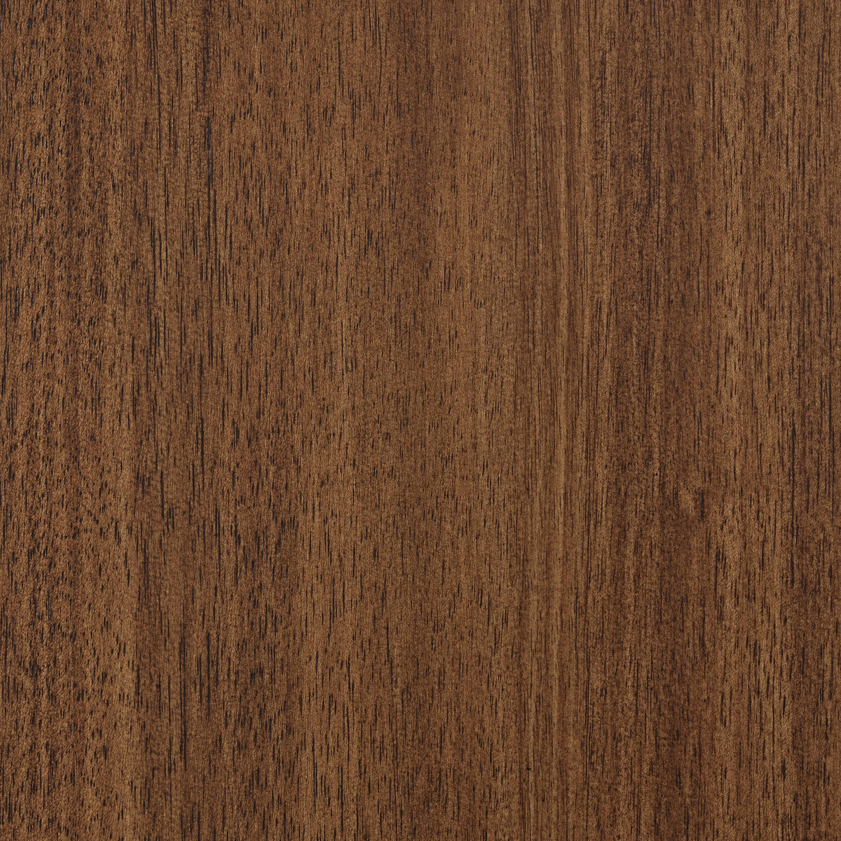 Lyncott Dining Benches