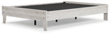Shawburn Platform Bed