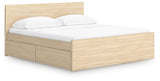 Onita Panel Platform Bed with 2 Side Storage
