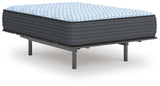 Destin Cove PlushMattress