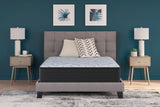 Elite Springs FirmMattress
