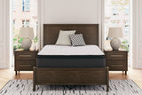 Limited Edition PTMattress