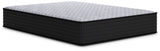 Anniversary Edition Plush Mattresses