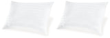 Zephyr 2.0 Cotton Pillow (Set of 2)