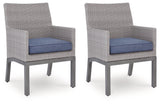 Dillon Beach Arm Chair With Cushion