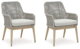 Seton Creek Arm Chair With Cushion