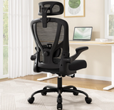 Ergonomic Desk Chair