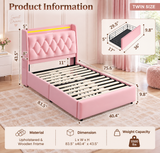 Bella Blush LED Storage Bed