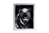Tiger Wall Art