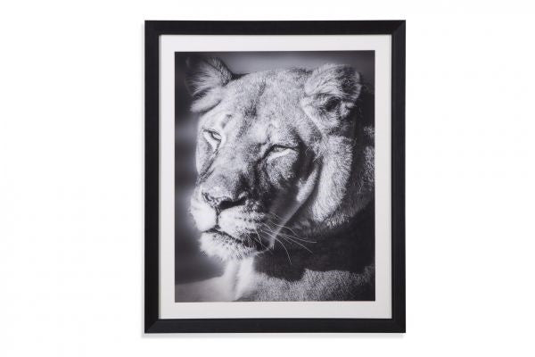Lioness Wall Art
