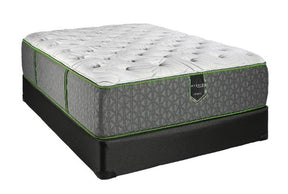 Madrid Top Plush Mattress & Boxspring - Katy Furniture