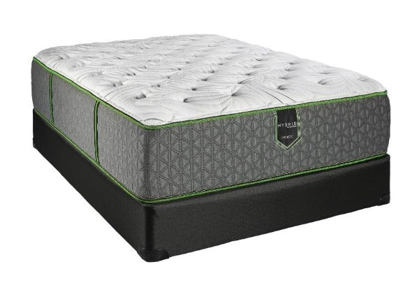 Madrid Top Plush Mattress & Boxspring - Katy Furniture