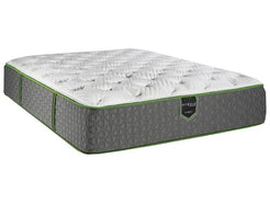 Madrid Top Plush Mattress & Boxspring - Katy Furniture