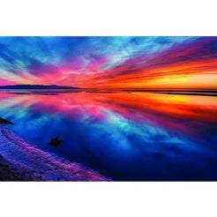 Flash I Wall Art