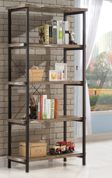 Skelton Bookcase